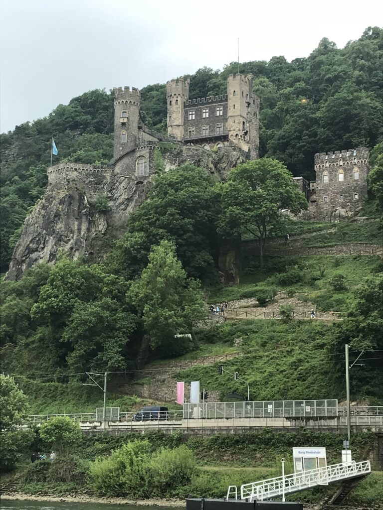 Castle on the Rhine